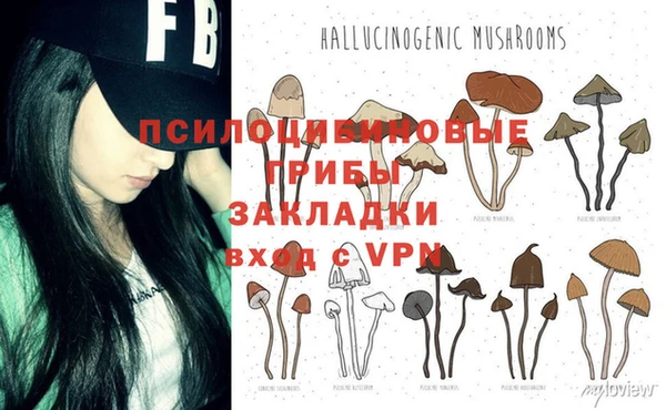 jwh Зерноград