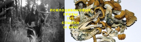 синтетический гашиш Зеленокумск