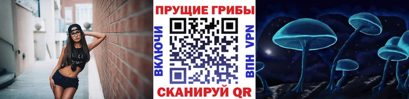 мега   Пионерский  Псилоцибиновые грибы мухоморы 